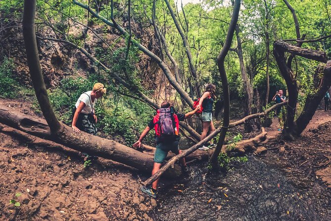 Full Day Rainforest Tour with Tasting and Swimming Time ツ - What to pack for a wet, outdoor day in Gran Canaria