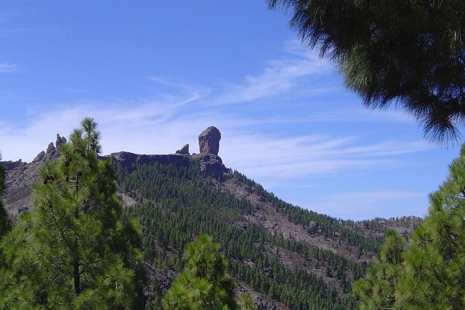 Full-Day Tour Exploring History, Nature and Aloe Vera Farm - Pickup in the South, Then a Full Day on the Clock