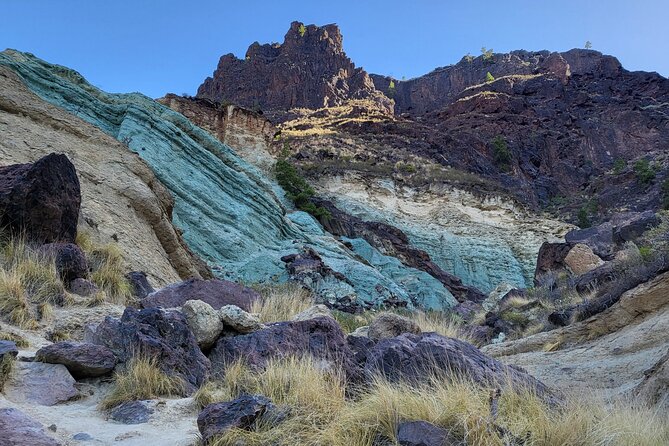 Full Private Tour of Gran Canaria with Natural Pools - Puerto de las Nieves Lunch: Fishing-Port Food With Sea Views