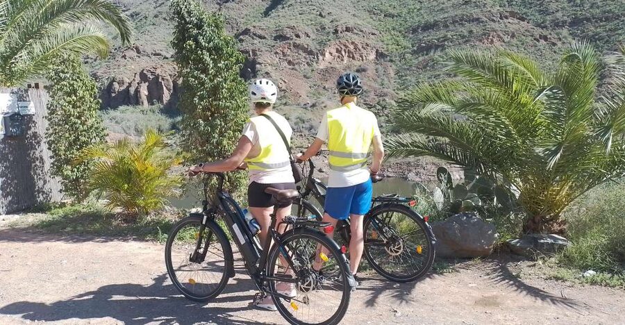 Gran Canaria: 1-7 Day E-Bike Rental 80 km battery life - How to pick your route: coast or Ayaguares Mountains