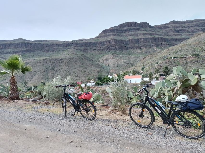 Gran Canaria: 1-7 Day E-Bike Rental 80 km battery life - Phone holder plus USB charging, a tiny detail with big payoff