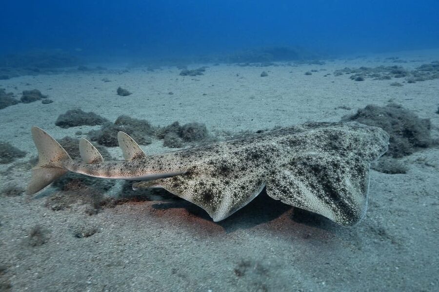 Gran Canaria: 3-Day Open Water Diver Course - Key Things That Make This Course Worth Your Time