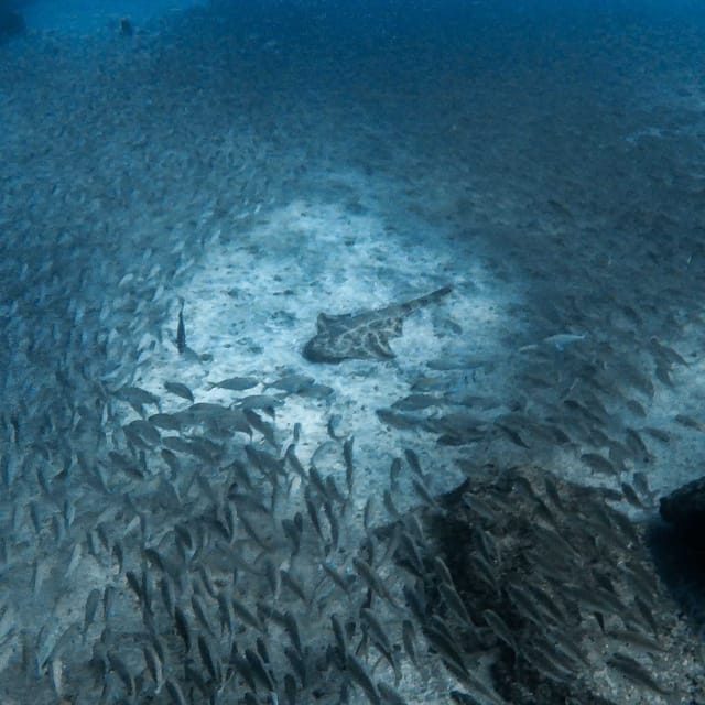Gran Canaria: 3-Day Open Water Diver Course - Who This Course Fits Best, and Who Should Skip It