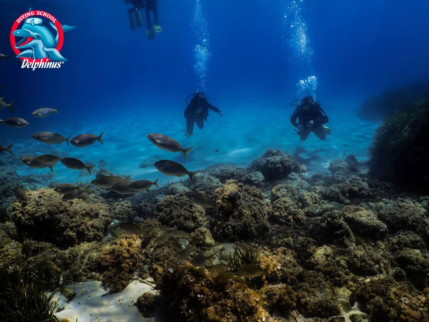 Gran Canaria: 3-Day Open Water Diver Course - Day 2: More Practice, Final Exam, Then More Ocean Time