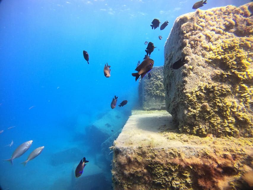 Gran Canaria: 3-Day Open Water Diver Course - What You Learn: From Interactive Theory to Exam Day