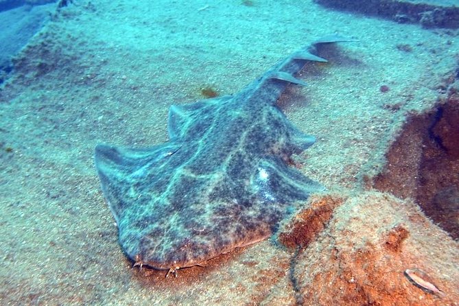 Gran Canaria 3 days / 6 dives in Various Locations - Safety and small-group attention: what the crew does well