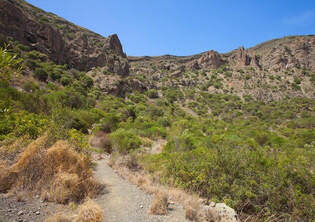 Gran Canaria 7 Highlights Small Group Tour with Tapas Picnic - Why This Gran Canaria Highlights Tour Works So Well