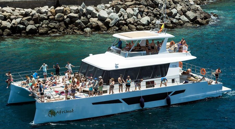 Gran Canaria: Afternoon Catamaran Cruise with Food & Drink - Cruising the Southwest Coast With Big Views and Quick Stops