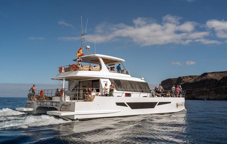 Gran Canaria: Afternoon Catamaran Cruise with Food & Drink - Optional Water Thrills: Jet Ski, Donut, Parasail, and Speedboat Upgrades