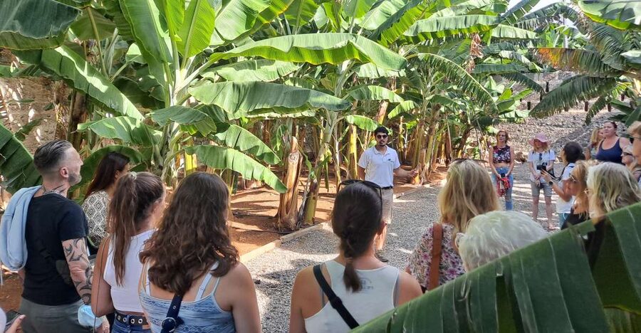 Gran Canaria: Banana World Guided Tour & Tasting - Hacienda La ReKompensa: the setting that makes the tour feel local