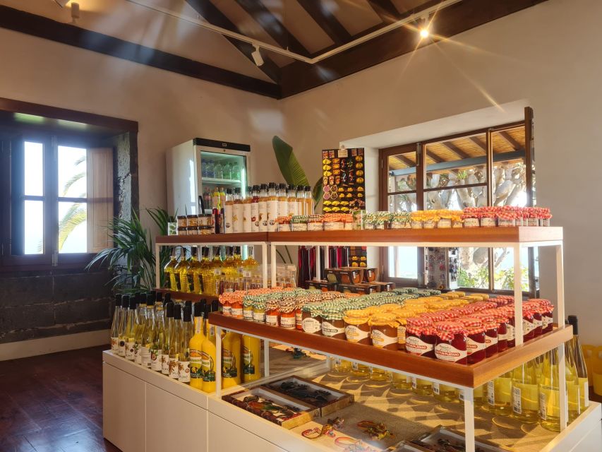 Gran Canaria: Banana World Guided Tour & Tasting - Museo del Platano: snacks, safety briefing, and the banana basics you will actually use