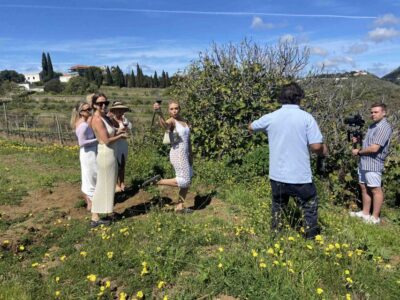 Best Wineries and Views Tour