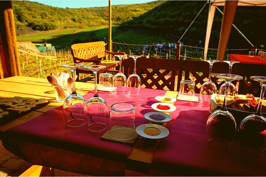 Gran Canaria: Best Wineries and Views Tour - Cheese, Mojo, and Farm Fruit Pairings You Can Actually Remember
