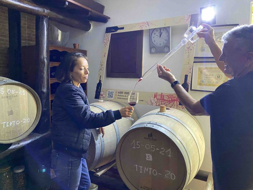 Gran Canaria: Best Wineries and Views Tour - Pace, Vehicle, and Group Size: Why 8 People Changes Everything