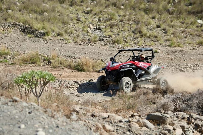 GRAN CANARIA: BUGGY TOUR -AFTERNOON SUNSET TOUR 1 HOUR 45MIN - Driver rules that affect who should book