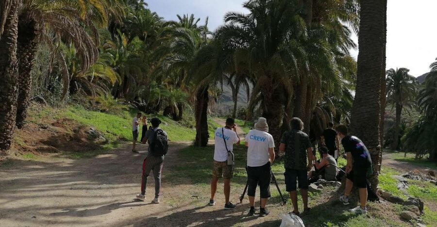 Gran Canaria: Camel Ride at Camel Safari Park - Key things to know before you go