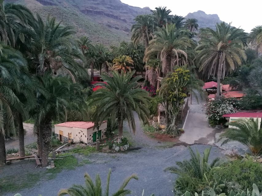 Gran Canaria: Camel Ride at Camel Safari Park - Meeting point and what to do when you arrive