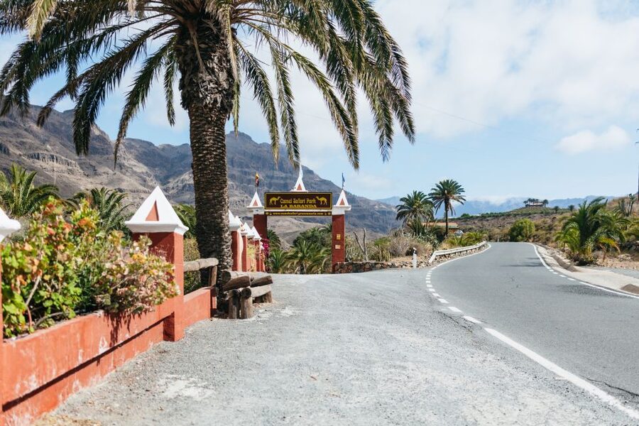Gran Canaria: Camel Ride Safari w/ Optional Food & Transport - The Extras That Matter: Photos, Camel Feeding, and Pushy Add-Ons
