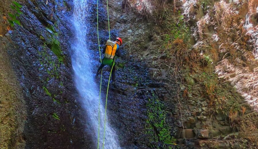Gran Canaria: Canyoning Trip - Key Highlights I’d Prioritize