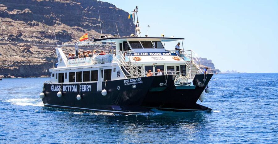Gran Canaria: Catamaran Dolphin Watch Cruise with Snorkeling - Entering the right mood in Puerto Rico de Gran Canaria