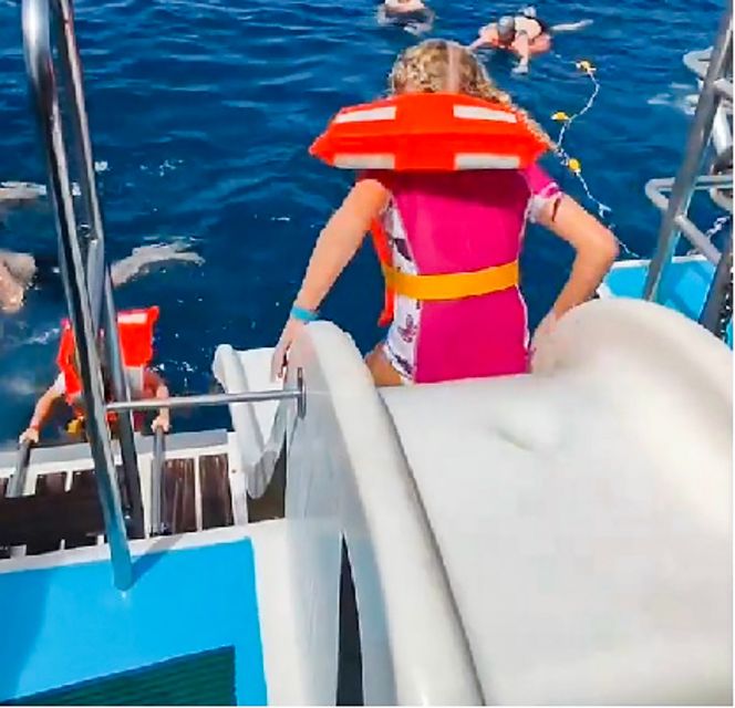 Gran Canaria: Catamaran Dolphin Watch Cruise with Snorkeling - The first two hours: dolphin and whale spotting in open water