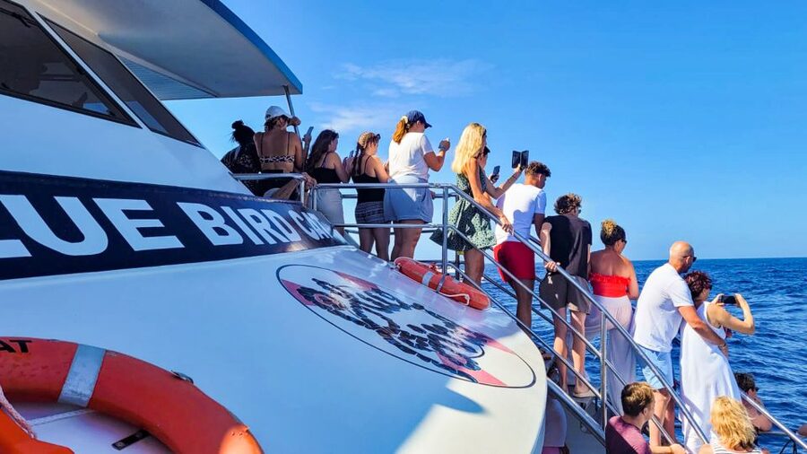 Gran Canaria: Catamaran Dolphin Watch Cruise with Snorkeling - Deck spotting tips that actually help
