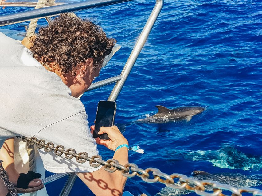 Gran Canaria: Catamaran Dolphin Watch Cruise with Snorkeling - What the price gets you, and where it adds up