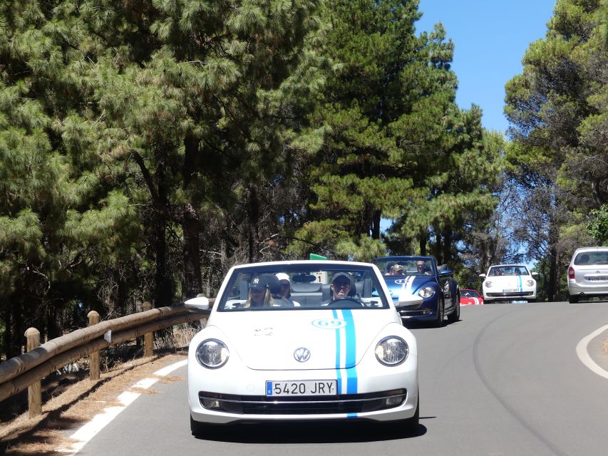 Gran Canaria: Convertible Beetle Tour - Quick hits before you go