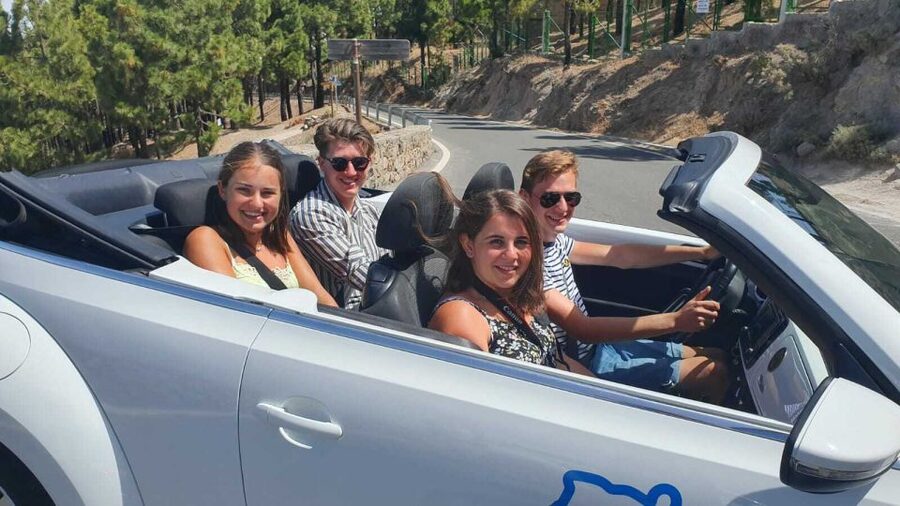 Gran Canaria: Convertible Beetle Tour - Aloe Vera Finca Canarias: local product, guided visit, mixed feelings