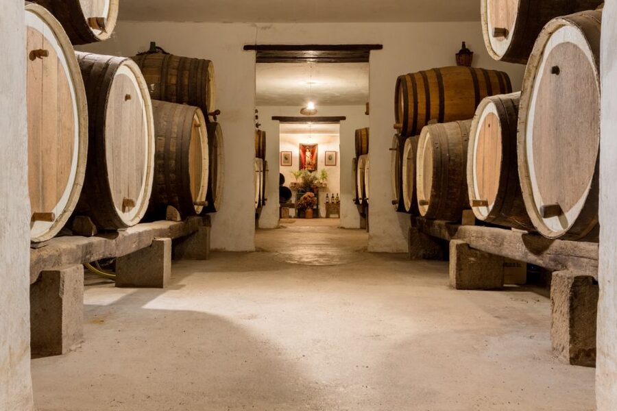 Gran Canaria: Customizable Private Tour - How the 6.5-Hour Private Tour Runs From Las Palmas