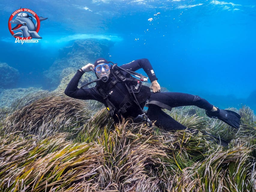 Gran Canaria: Discover Scuba Diving Beginner Program - Shallow-Water Skill Practice: The Part That Builds Confidence