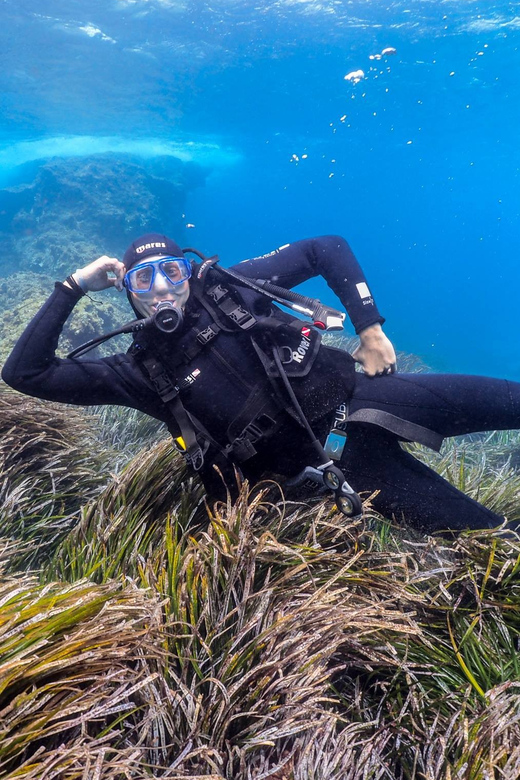 Gran Canaria: Discover Scuba Diving Beginner Program - The Theory Lesson: More Than Reading, Less Than a Test