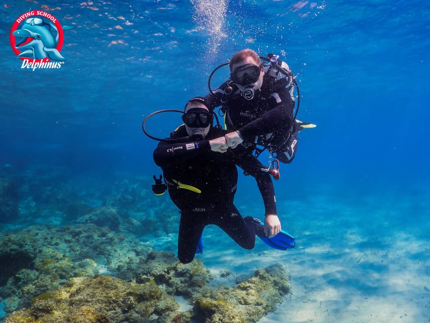Gran Canaria: Discover Scuba Diving Beginner Program - Your Atlantic Open-Water Experience: What You’ll Actually See