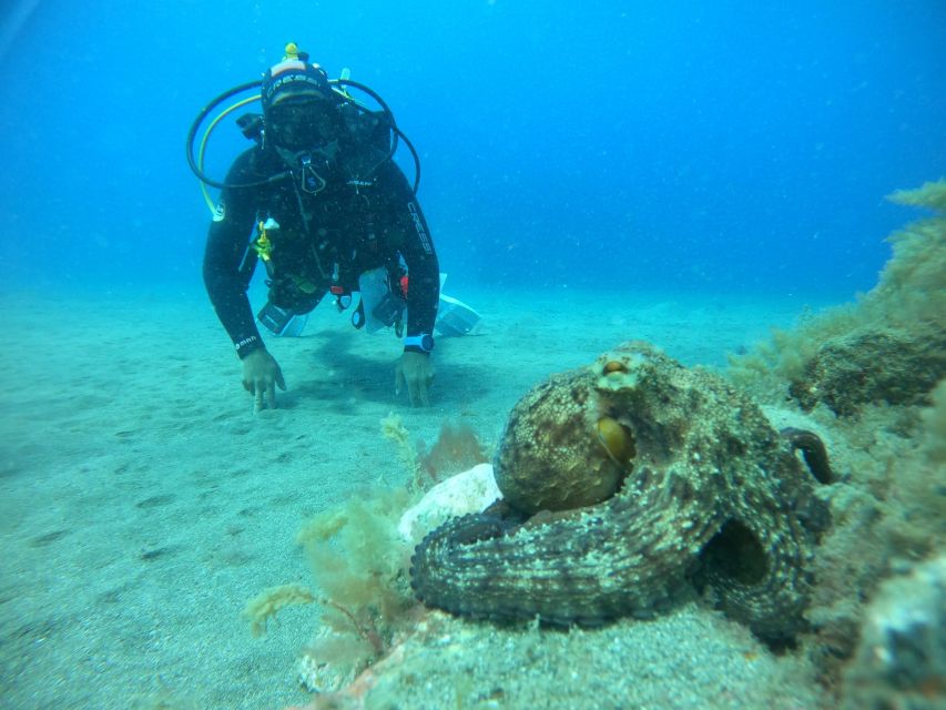 Gran Canaria: Discover Scuba Diving - Free Transfers - Price and value: $105 for transfers, gear, and a PADI pro