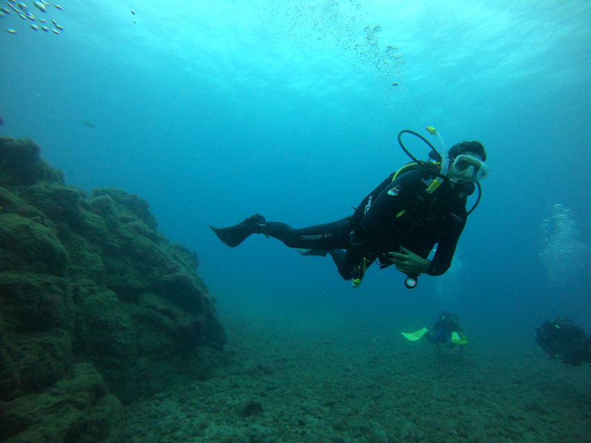 Gran Canaria: Discover Scuba Diving - Free Transfers - What you can realistically see under the surface