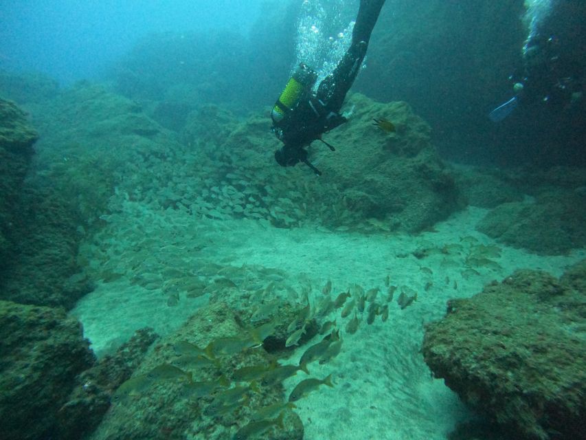 Gran Canaria: Discover Scuba Diving - Free Transfers - Transfers and the day’s rhythm from South Gran Canaria hotels