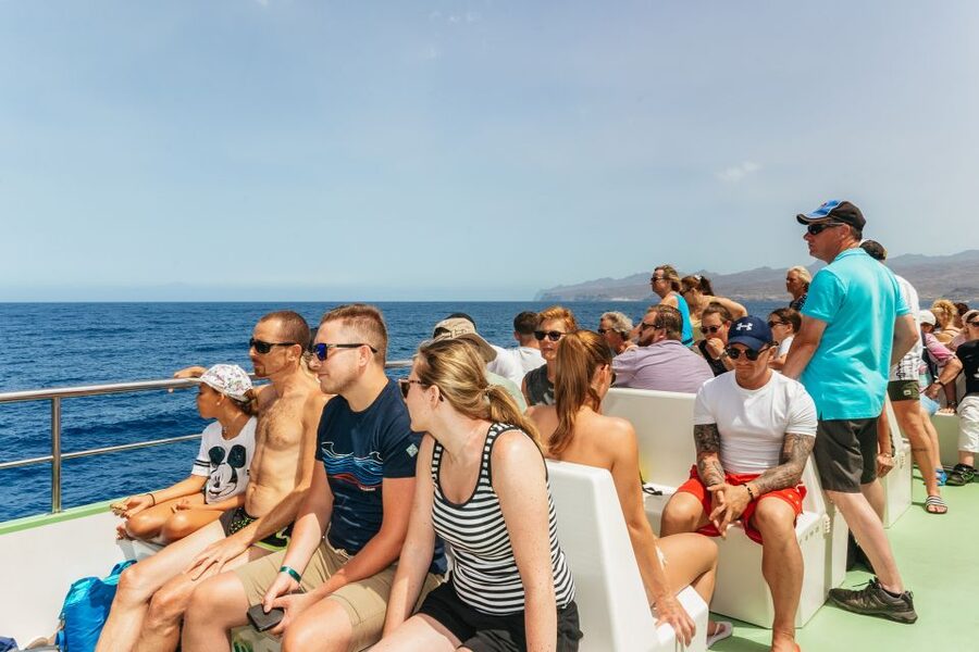 Gran Canaria: Dolphin and Whale Watching Cruise - Photos, Ocean Views, and the Best Way to Watch