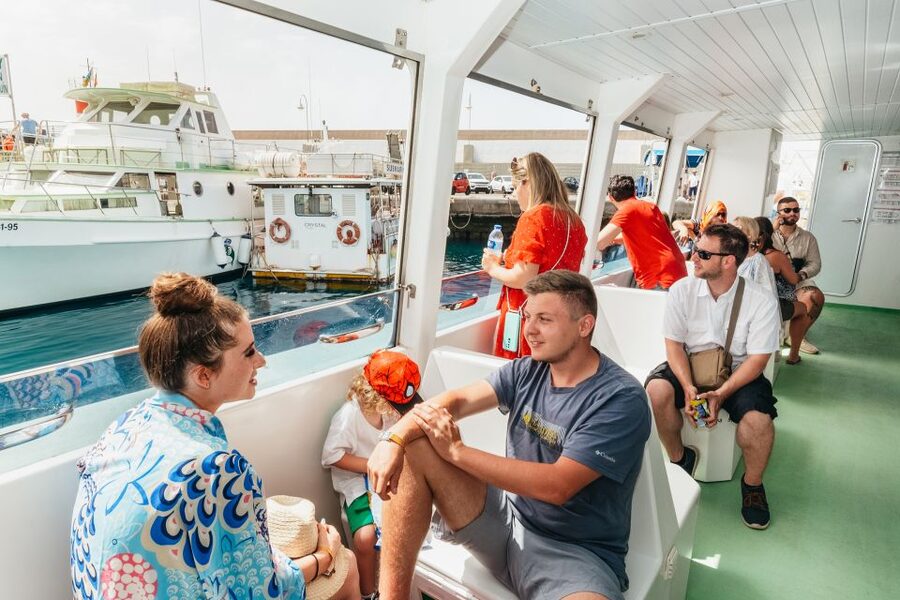 Gran Canaria: Dolphin and Whale Watching Cruise - Pickup and Timing: You Are Not Just Getting a 2-Hour Cruise