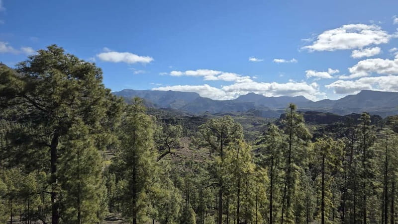 Gran Canaria: Full Coast Tour with Local Guide - La Aldea de San Nicolás: rural charm and a calmer rhythm
