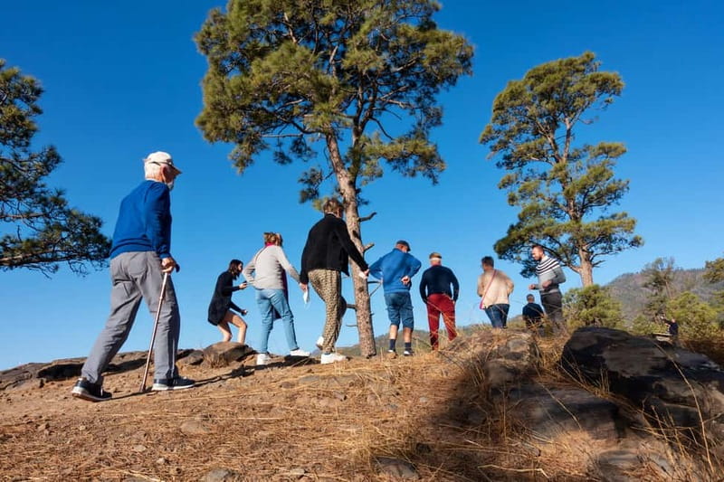 Gran Canaria: Full Coast Tour with Local Guide - Tufia: wrapping up in a coastal village with character