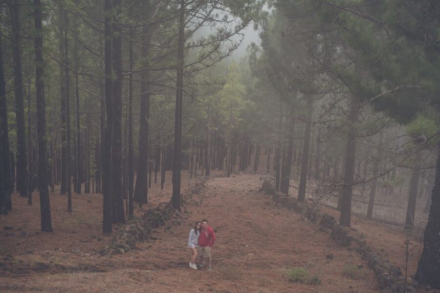 Gran Canaria: Full-Day Customizable Private Photography Tour - Key highlights to know before you go