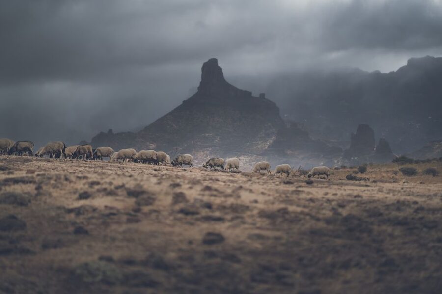 Gran Canaria: Full-Day Customizable Private Photography Tour - Rainbow Rocks: photographing dry color in the southwest