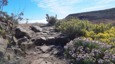 Full-Day Guided Hiking With Snacks