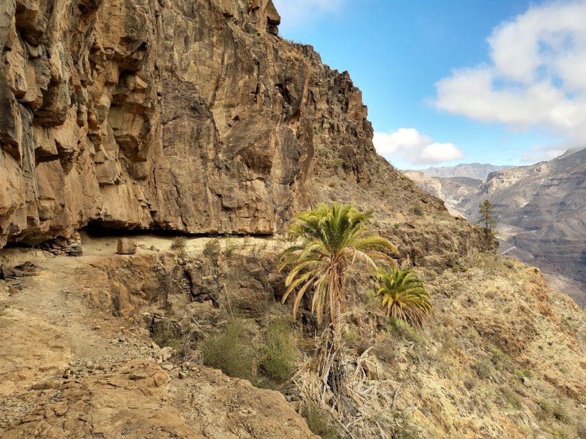 Gran Canaria: Full-Day Guided Hiking With Snacks - Pickup timing, minibus comfort, and the one schedule trick
