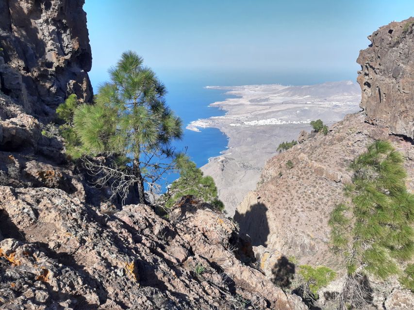 Gran Canaria: Full-Day Guided Hiking With Snacks - Gear: what to bring so the day stays comfortable