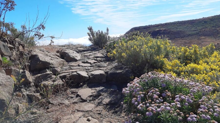 Gran Canaria: Full-Day Guided Hiking With Snacks - Distances and difficulty: the numbers you can plan with