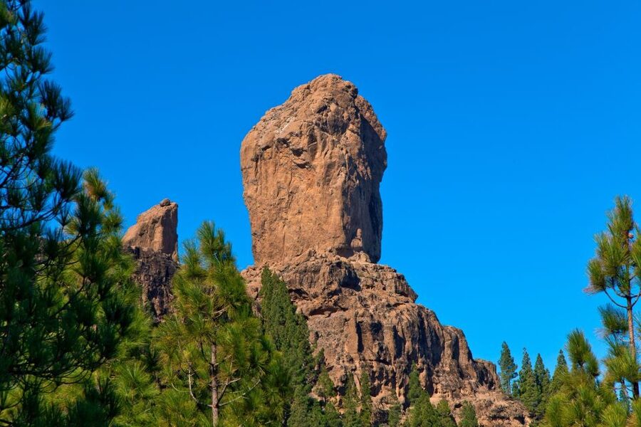Gran Canaria: Full-Day VIP Tour by Bus - Getting To the Bus: Parque Tropical Is Your Real Starting Point