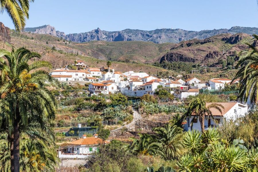 Gran Canaria: Full-Day VIP Tour by Bus - Aloe Vera Plantation: Healing Lore, Hands-On Testing