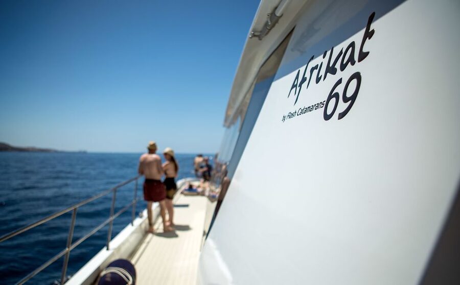 Gran Canaria: Fun Catamaran Cruise with Food and Drinks - The Mogán Water Stop: Snorkeling in Crystal Water and Time That Actually Lets You Enjoy It