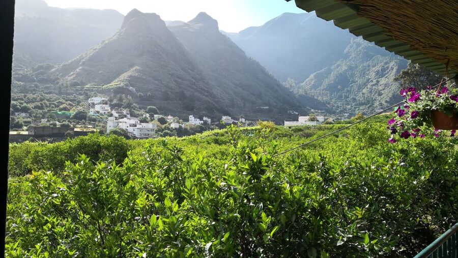 Gran Canaria: Grand Island Tour by Bus with Transfers - Puerto de Mogán, the canals, and that calm-water boat ride